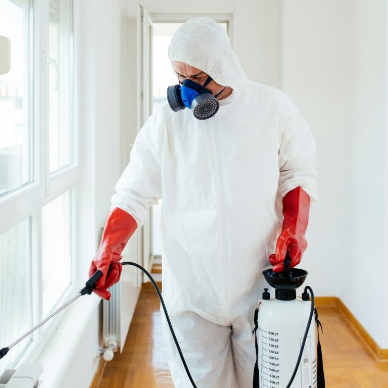 commercial pest control kingsbridge